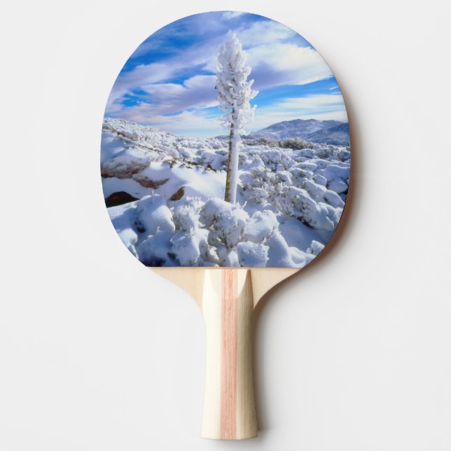 A snow covered yucca ping pong paddle (Front)
