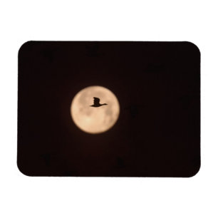 A Snow Goose Against A Full Moon New Mexico Magnet
