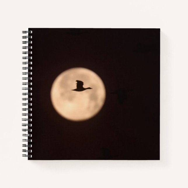 A Snow Goose Against A Full Moon | New Mexico Notebook (Front)