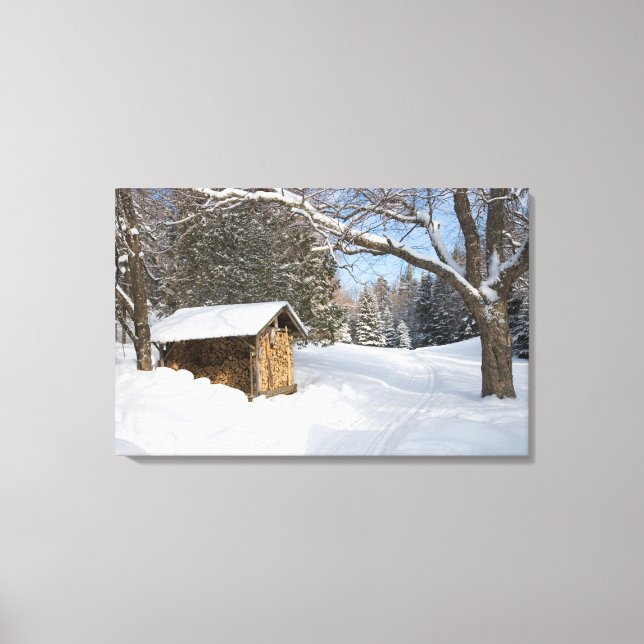 A snowy scene at the AMC's Little Lyford Pond Canvas Print (Front)