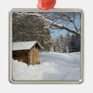 A snowy scene at the AMC's Little Lyford Pond Metal Tree Decoration