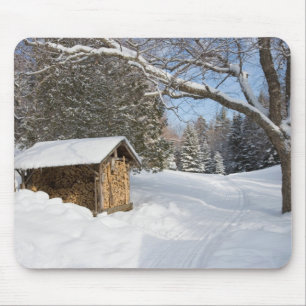 A snowy scene at the AMC's Little Lyford Pond Mouse Pad