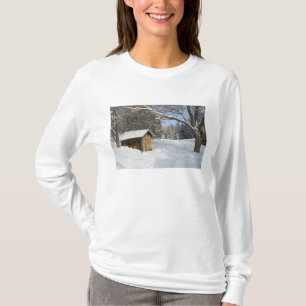 A snowy scene at the AMC's Little Lyford Pond T-Shirt
