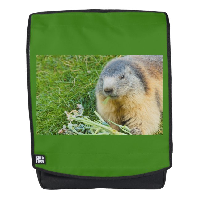 a sociable marmot  on Adult  Backpack + Face (Front)