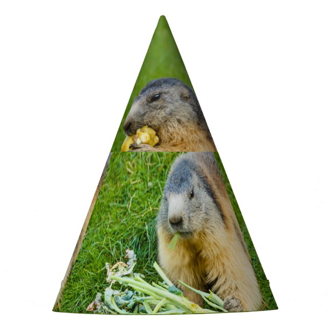 a sociable marmot on Party Hat (Front)