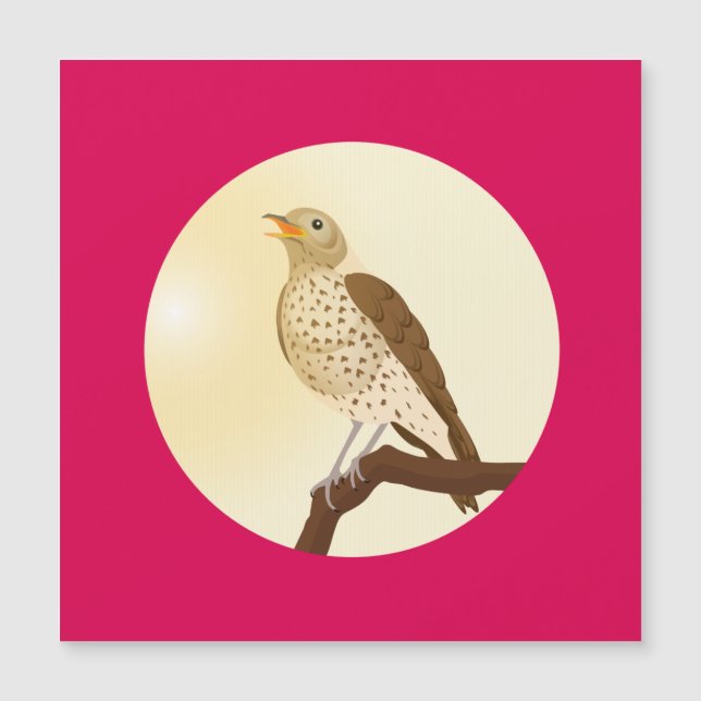 A song thrush sat on a branch (Front)