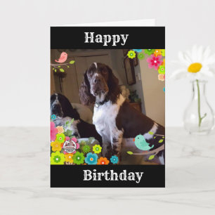 "A SPECIAL DAY, A SPECIAL "YOU" says SPANIEL  Card