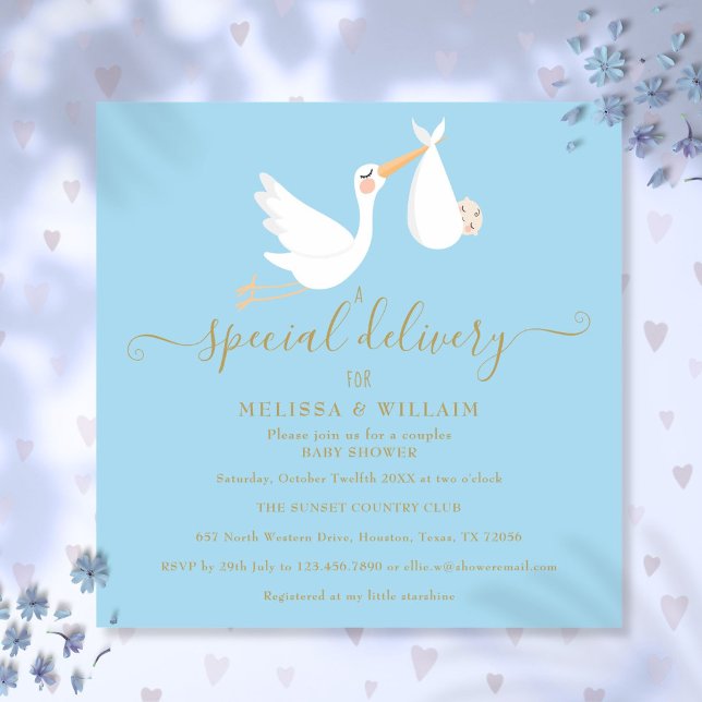 A Special Delivery Couples Baby Shower Sprinkle Invitation (A Special Delivery Couples Baby Shower Sprinkle Invitation)