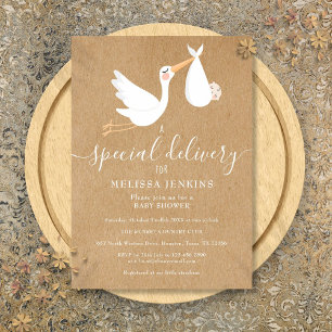 A Special Delivery Stork Baby Shower Sprinkle Invitation