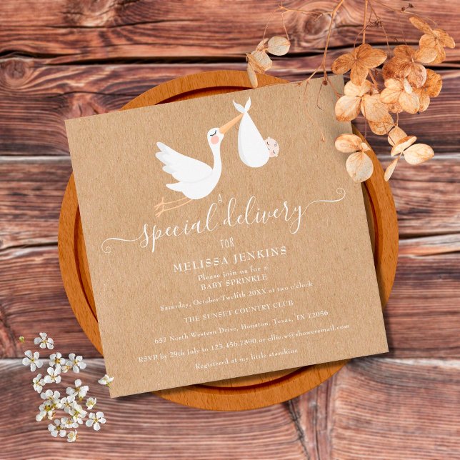 A Special Delivery Stork Baby Shower/Sprinkle Invitation (Creator Uploaded)