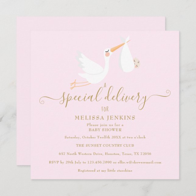A Special Delivery Stork Baby Shower / Sprinkle Invitation (Front/Back)
