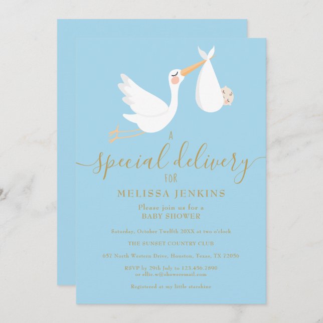 A Special Delivery Stork Baby Sprinkle / Shower Invitation (Front/Back)