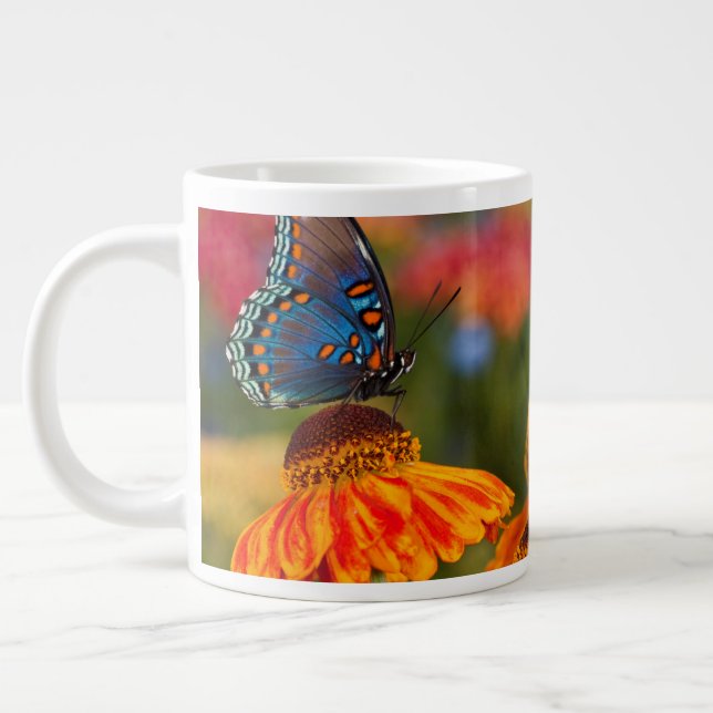 A Spicebush Swallowtail, Papilio troilus Large Coffee Mug (Left)