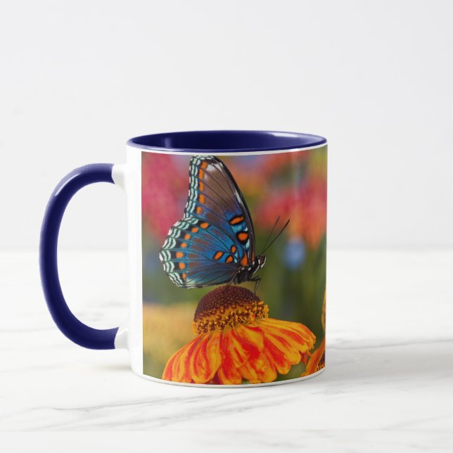 A Spicebush Swallowtail, Papilio troilus Mug (Left)