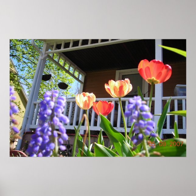 A Spring Garden Poster (Front)