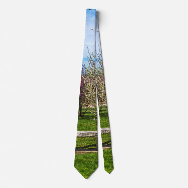 A Spring Season Seat Neck Tie (Front)