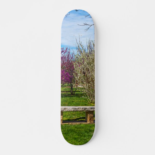 A Spring Season Seat Skateboard (Front)