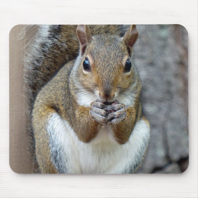 A Squirrel Enjoying a Treat Mouse Pad (Front)