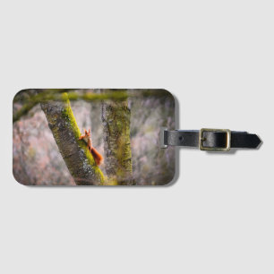 A squirrel luggage tag