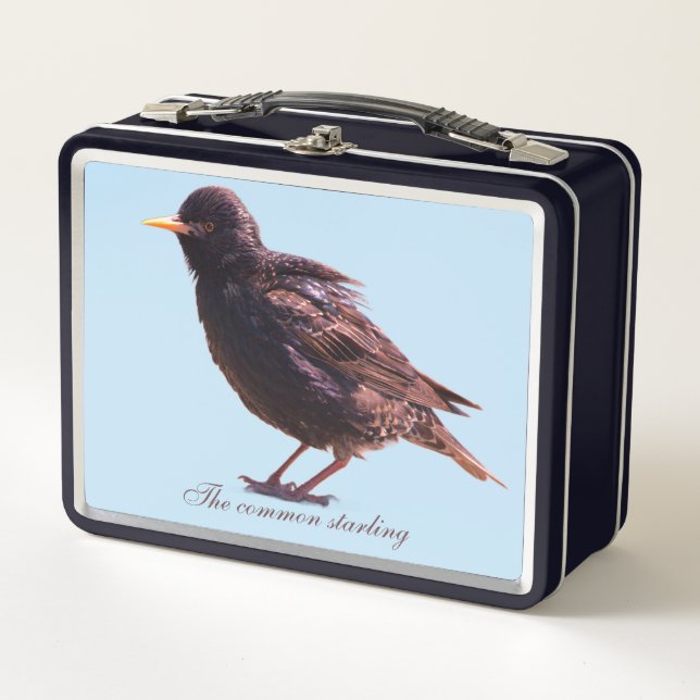 A starling  metal lunch box (Front)