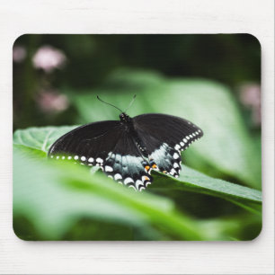 A Stately Appearance Mousepad