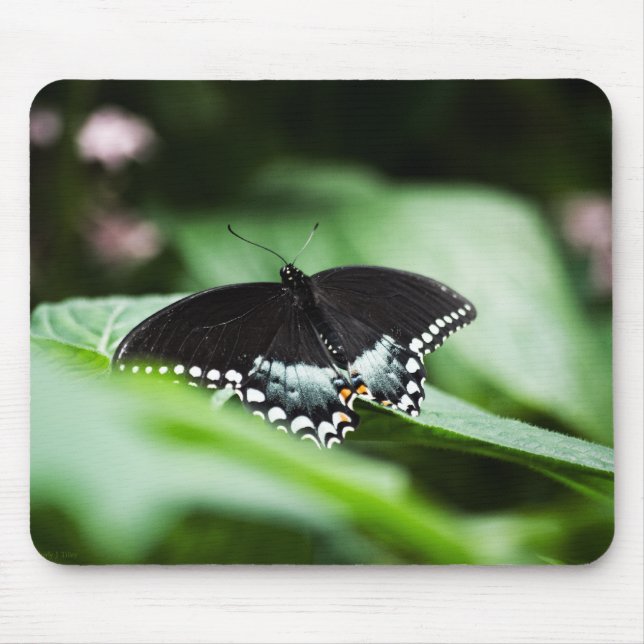 A Stately Appearance Mousepad (Front)