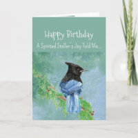 A Stellar Jay Personality Birthday Fun Bird