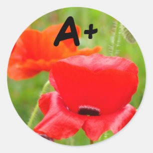 A+ stickers Red Poppy Flowers sticker School Kids