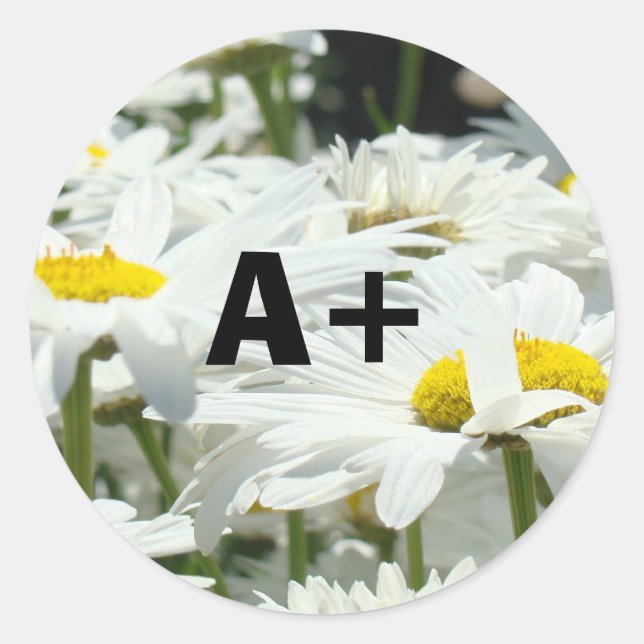 A+ Stickers Students Grade Teachers School Daisy (Front)