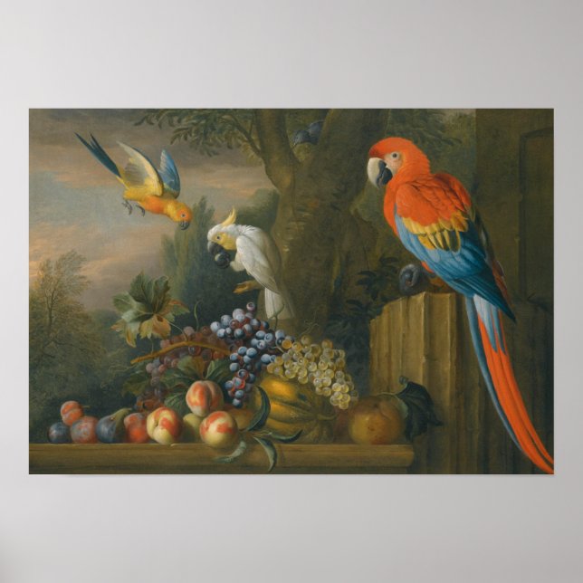 A Still Life With Fruit, Parrots And a Cockatoo Poster (Front)