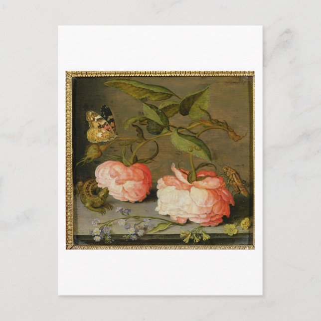 A Still Life with Roses on a Ledge Postcard (Front)