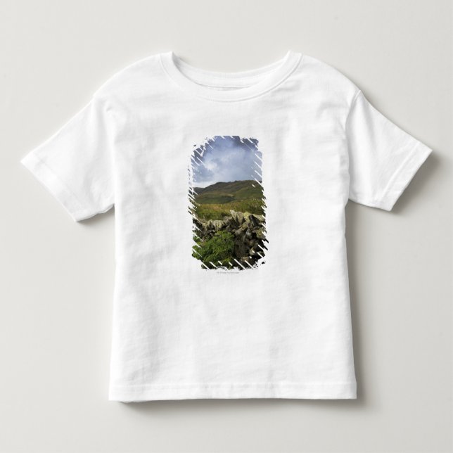 A Stone Fence Through Fields Toddler T-Shirt (Front)