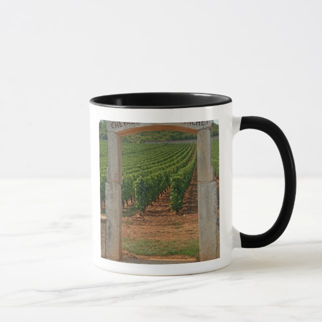 A stone portico to the vineyard mug (Right)
