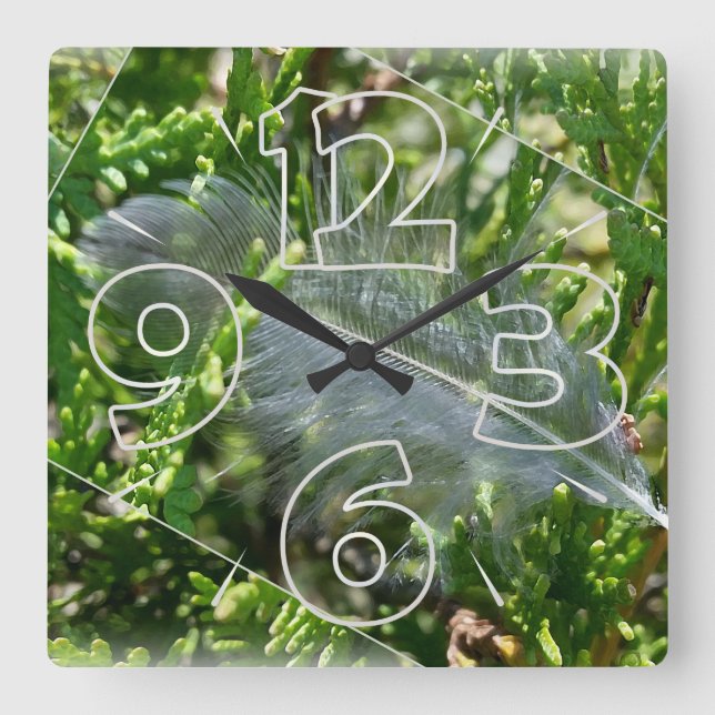 A stray feather square wall clock (Front)