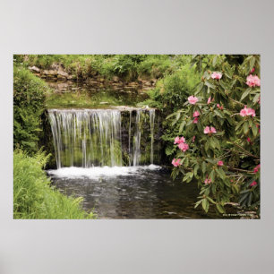 A Stream And Waterfall In Dartmoor National Park Poster