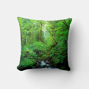 A stream in an old-growth forest cushion