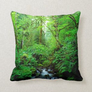 A stream in an old-growth forest cushion