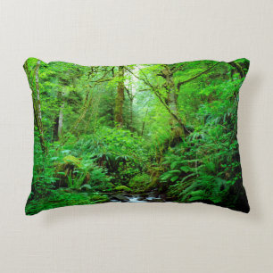A stream in an old-growth forest decorative cushion