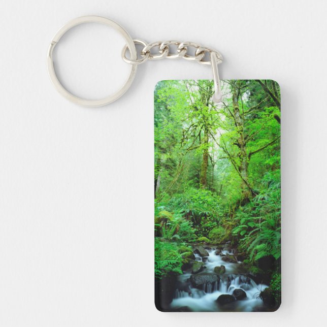 A stream in an old-growth forest key ring (Front)