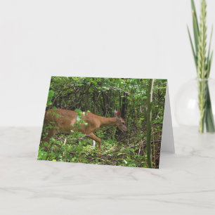 A Stroll Through the Woods Card