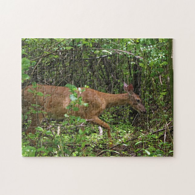 A Stroll Through the Woods Jigsaw Puzzle (Horizontal)