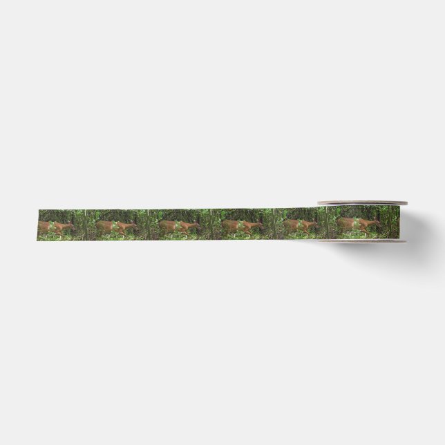 A Stroll Through the Woods Satin Ribbon (Front)