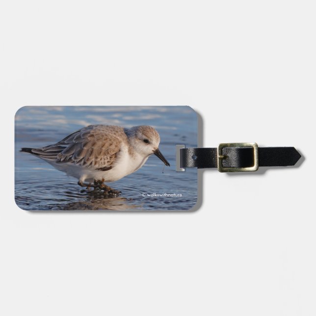 A Strolling Sanderling Luggage Tag (Front Horizontal)
