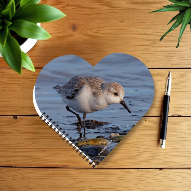 A Strolling Sanderling Notebook (A Strolling Sanderling on the Winter Beach Journal Cover Photo)
