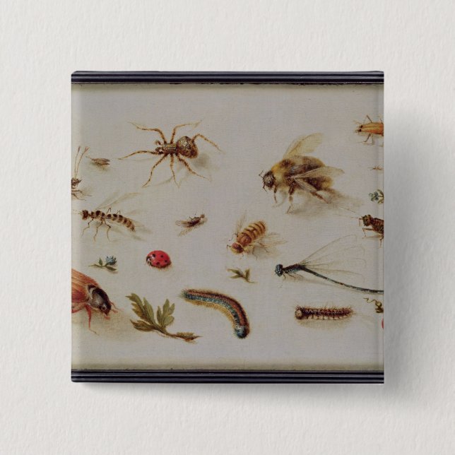 A Study of Insects 15 Cm Square Badge (Front)