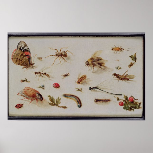 A Study of Insects Poster (Front)