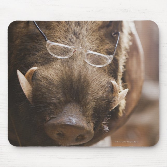 a stuffed wild boar wearing glasses outside a mouse pad (Front)