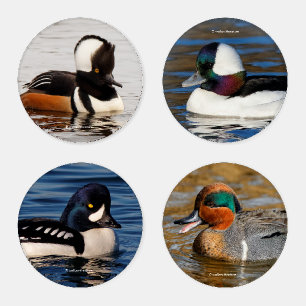 A Stunning Quartet of Colourful Ducks (I) Coaster Set