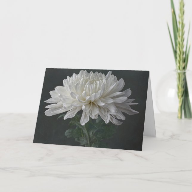 A stunning white flower card (Front)