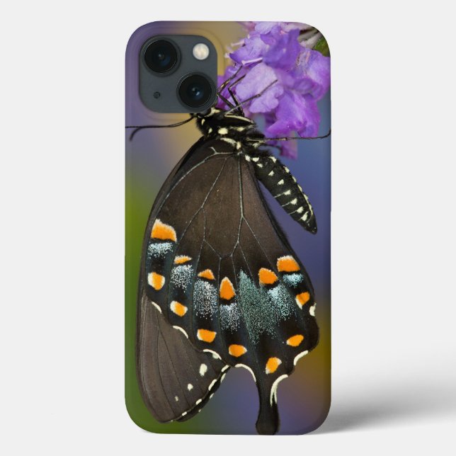 A Sulphur Butterfly Case-Mate iPhone Case (Back)